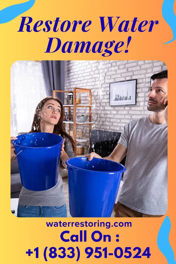 water restoration Prestige Disaster Cleanup Force Delmar