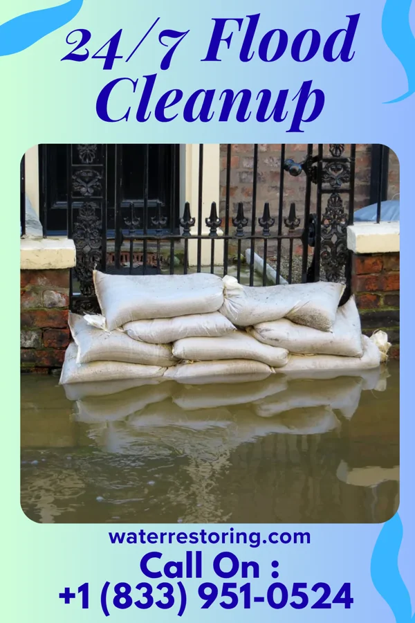 24/7 Flood Cleanup in Delmar, MD