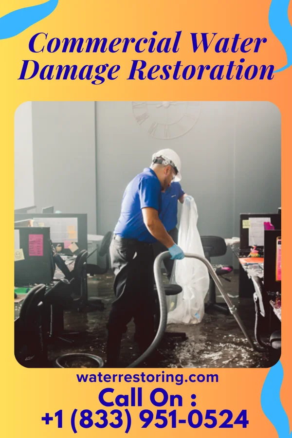 Commercial Water Damage Restoration in Delmar, MD