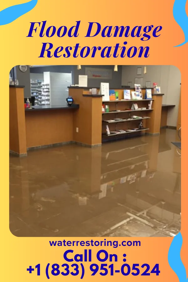 Flood Damage Restoration in Delmar, MD