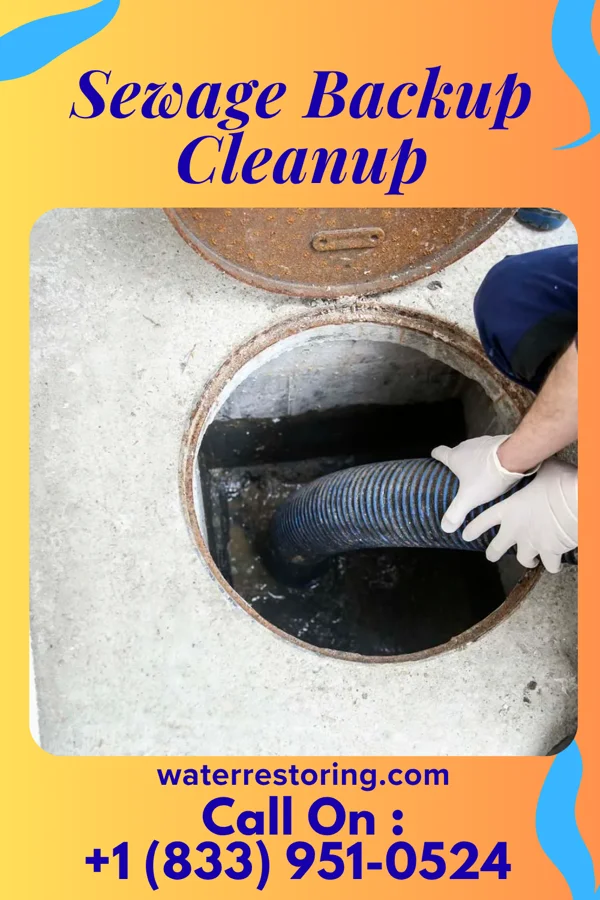 Sewage Backup Cleanup in Delmar, MD