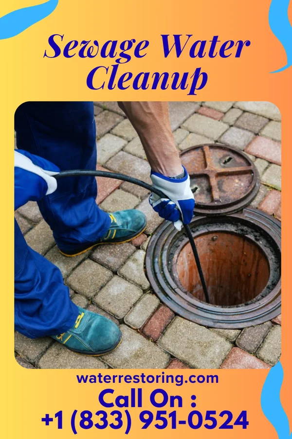 Sewage Water Cleanup in Delmar, MD