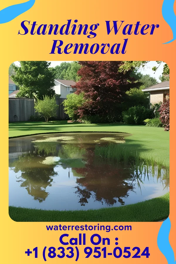 Standing Water Removal in Delmar, MD